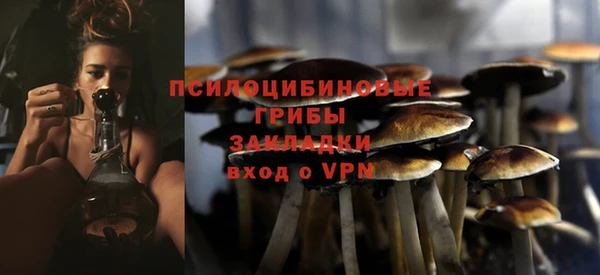 ALPHA PVP Куйбышев