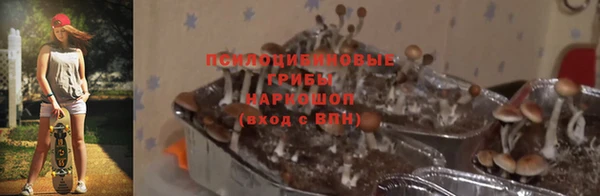 ALPHA PVP Куйбышев