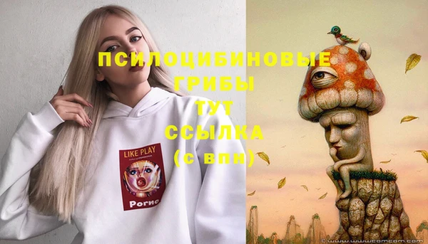 ALPHA PVP Куйбышев